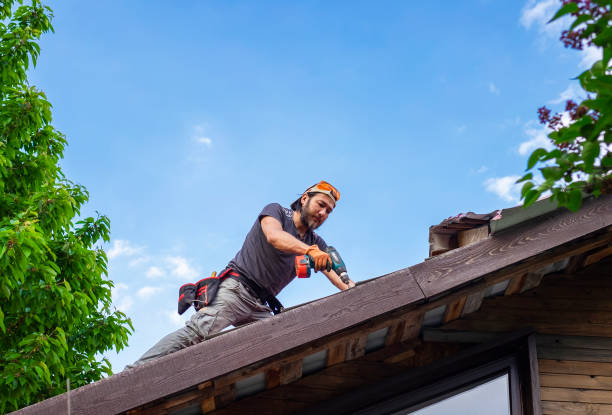 Best Gutter Installation and Repair  in Pilot Point, TX