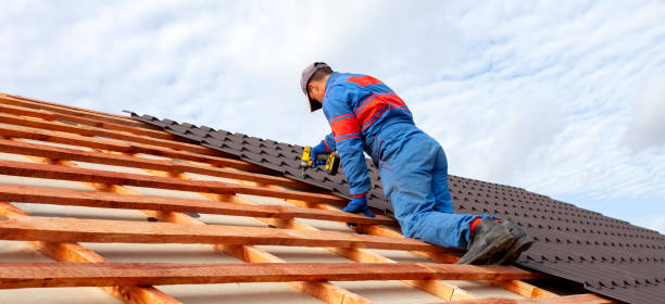 Best Asphalt Shingles Roofing  in Pilot Point, TX