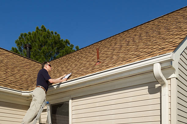 Best Roof Moss and Algae Removal  in Pilot Point, TX